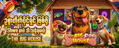 mya88 app ဖြင့် အလွယ်တကူကစားပါ banner image